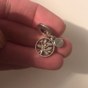 Pandora family heritage charm